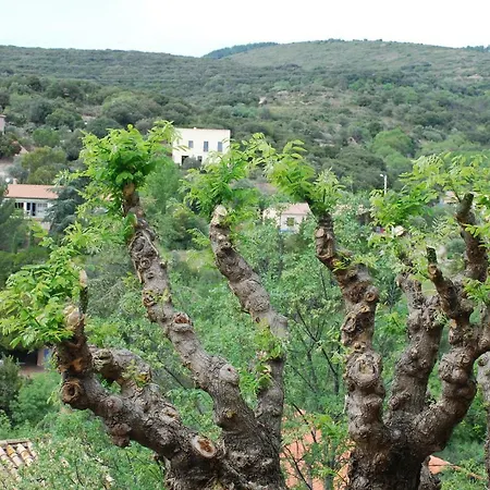 Languedoc Frankrig * Neffies